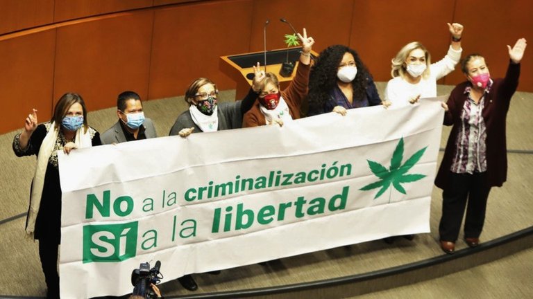 Regulación de la marihuana ¿Qué se permite y qué castiga?