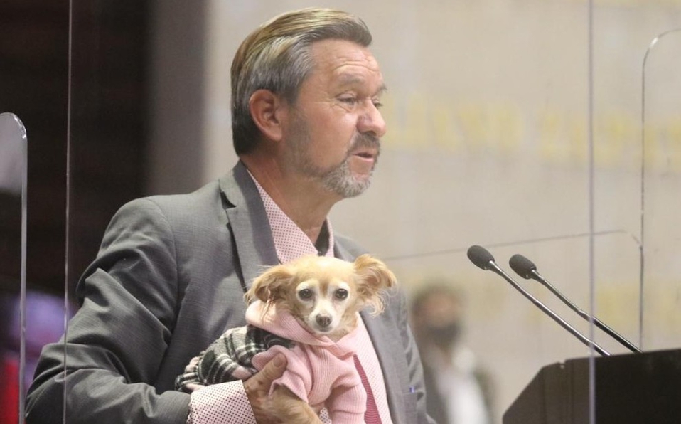 Avalan diputados, prisión por maltrato animal y zoofilia