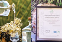 Acreditarán sotol chihuahuense por su calidad para venderse a nivel mundial