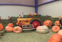 Con competencia de Calabazas gigantes arrancará Festival de la Calabaza