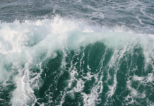 Alertan de posible tsunami en el Pacífico