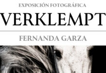 Invita Gobierno Municipal a exposición “Verklempt” en el Centro de Desarrollo Cultural