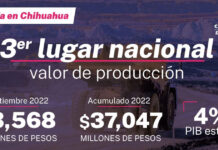 Alcanza Chihuahua el tercer lugar a nivel nacional en valor de producción minera