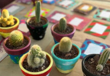 Realizarán Feria Expo Emprendedores “Un futuro mejor”