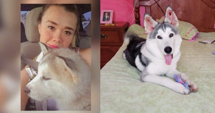 HUSKY