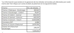 WhatsApp Image 2024 03 20 at 9.32.11 AM CAFE CIUDADANO