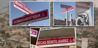 Foto: El Financiero