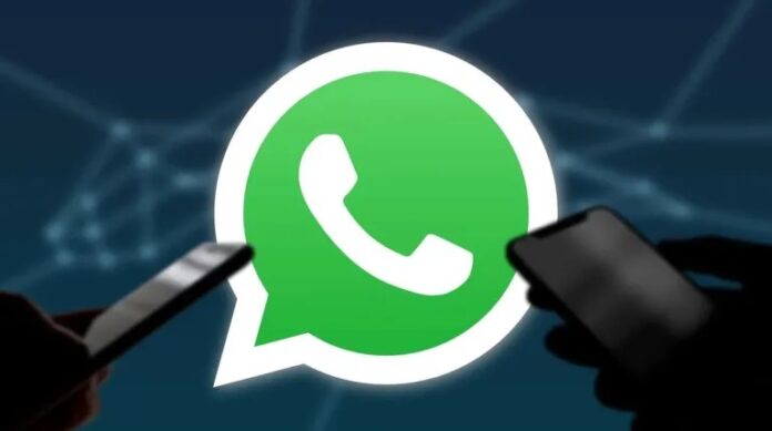 Imagen de WhatsApp 2025-02-28 a las 10.49.01_52e918aa