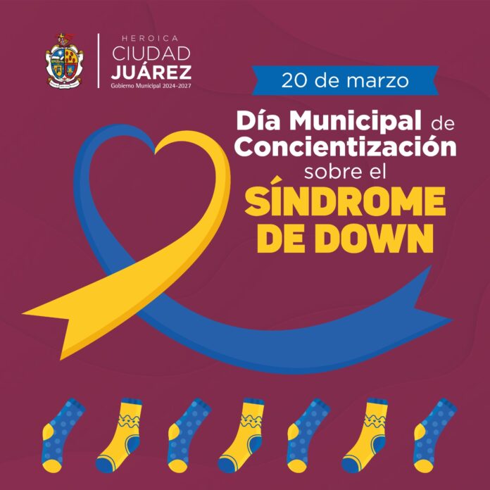 67dc8e064c107__67dc8e064c109