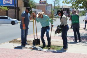 689149249a6ac 689149249a6ad CAFE CIUDADANO