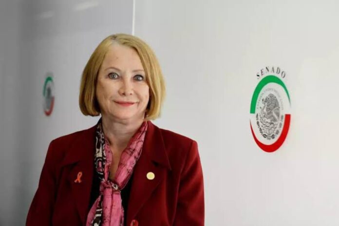 laura-itzel-castillo-senado-morena
