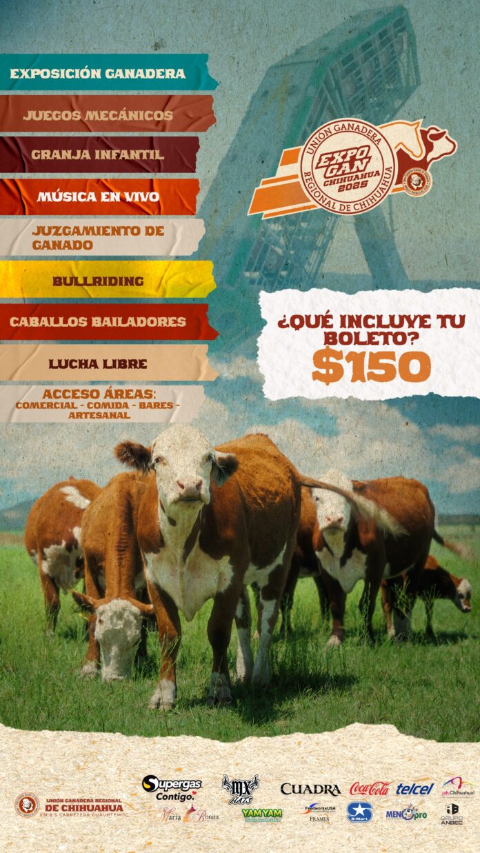 Imagen de WhatsApp 2025-09-09 a las 06.15.45_5d10dabb