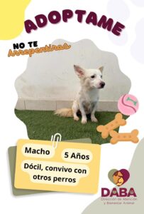68e42c636597d 68e42c636597e CAFE CIUDADANO