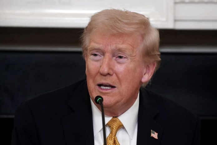 Trump dice que carteles