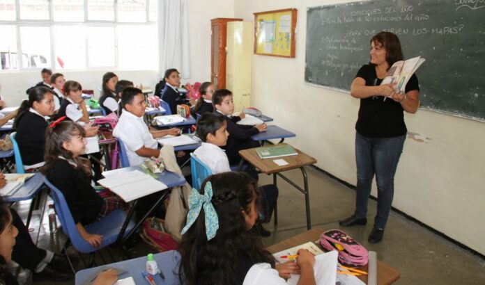 maestros-primaria