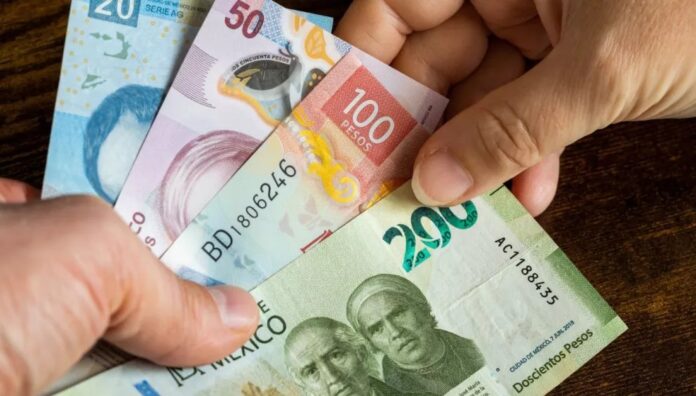 Imagen de WhatsApp 2025-11-06 a las 15.21.29_e7db7a08