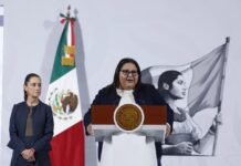 ¿En qué consistirá el plan integral para combatir el abuso sexual en México?