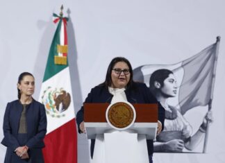 ¿En qué consistirá el plan integral para combatir el abuso sexual en México?