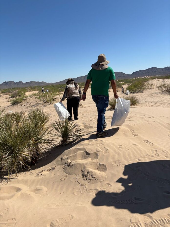 WhatsApp Image 2025-11-06 at 15.03.30(3)