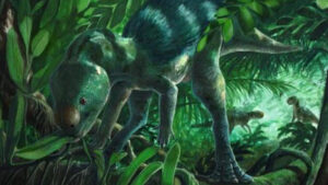 AA1VwuDf CAFE CIUDADANO