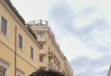 Participa Álex Domínguez en encuentro internacional “Políticos constructores de paz” en el Vaticano