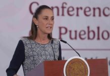 “Se ve muy bonito”; Sheinbaum defiende “Ajolotización” de Clara Brugada en la CDMX