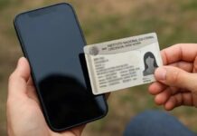 ¡Atención! Amplían plazo para vincular tu número celular con tu CURP