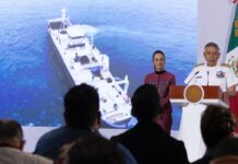 Anuncian inversión de 2 mil mdp para combatir el sargazo en el Caribe mexicano