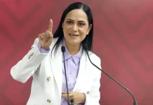 “Andy” López Beltrán realiza tareas partidistas, no campaña anticipada: Ariadna Montiel