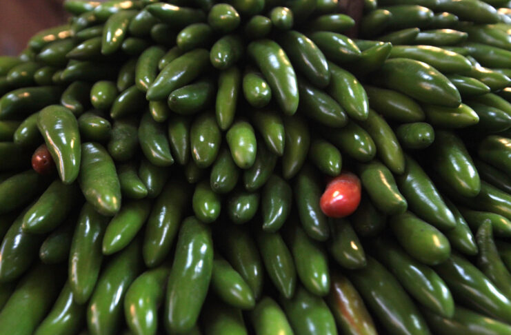 Cofepris descarta salmonella en chiles jalapeños de Nuevo León b0472a9f73d1539f9c14e9a6d0812b0429c8e49ew CAFE CIUDADANO