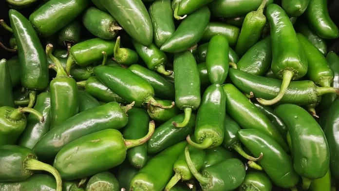jalapenos-1320629_960_720