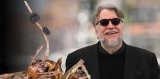 Descubren seis “hongos zombies” en México; nombran a uno Guillermo del Toro en su honor unmundosustentable.com descubren en jalisco un hongo zombi y lo nombran en honor a guillermo del toro 2026 01 03 17 39 49 643023 1024x597 1 CAFE CIUDADANO