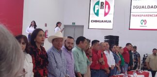 WhatsApp Image 2026 09 19 at 11.34.32 AM CAFE CIUDADANO