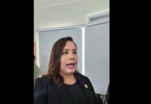 Joss Vega afirma que Congreso acatará resolución de la SCJN sobre blindaje electoral