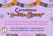 Invita DABA Juárez hoy a la ceremonia “Huellitas Eternas”