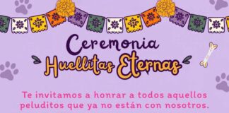 Invita DABA Juárez hoy a la ceremonia “Huellitas Eternas” 6ae103fd75d78 6ae103fd75d7a CAFE CIUDADANO