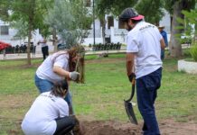Colaboradores de CIMA y sus familias plantan 100 árboles en el Parque Lerdo