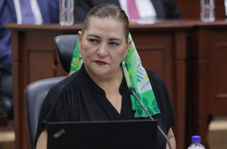 INE colaborará con la ASF para investigar presunto uso indebido recursos públicos guadalupe taddei 1 1 CAFE CIUDADANO