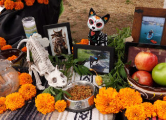 Este 27 de octubre, las mascotas regresan a casa; ¿Qué poner en su ofrenda?