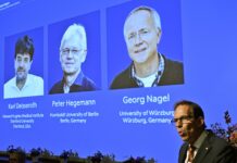 Dan Premio Nobel de Medicina 2026 a tres investigadores de actividad cerebral
